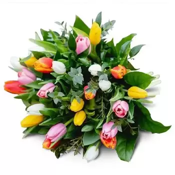 بلاتني الزهور على الإنترنت - هدية عظيمة باقة