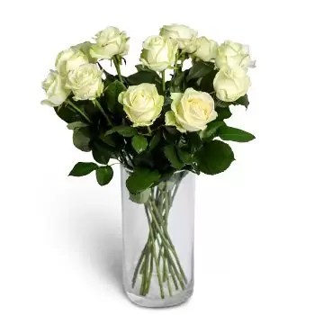 ברטיסלבה פרחים- מתוחכם פרח משלוח