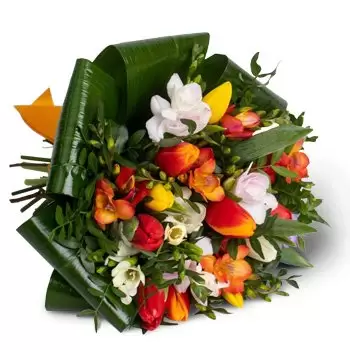 بائع زهور روفينكا- باقة ملونة زهرة التسليم