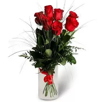 بائع زهور مدينة ملاكي- مثيرة للاهتمام الأحمر زهرة التسليم