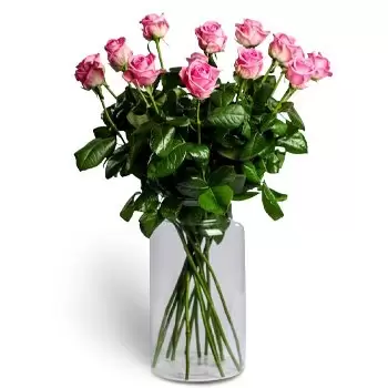 Братислава цветя- Красиви розови Цвете Доставка