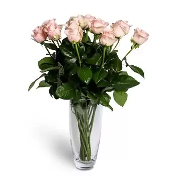 fiorista fiori di Bratislava- Rosa pallido Fiore Consegna