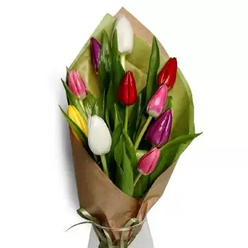 بائع زهور ميخال نا أوستروف- ابتسامة ملونة زهرة التسليم