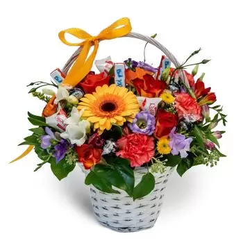 بائع زهور براتيسلافا- سلة بالورد والحلويات زهرة التسليم