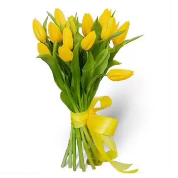 flores Senkvice floristeria -  Pétalos elegantes Ramos de  con entrega a domicilio