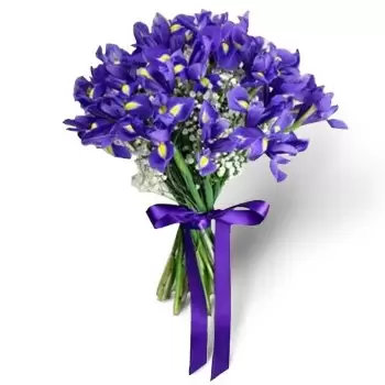 Balon flowers  -  Violet Breeze Flower Delivery