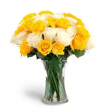 Dafan Al Nakheel-virágok- Lágy érzelmek Virág Szállítás