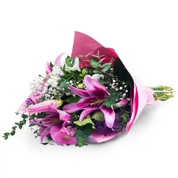 בלגרד פרחים- עונג פריחה ורודה פרח משלוח