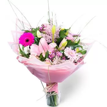 flores Belgrado floristeria -  Belleza ruborizada Ramos de  con entrega a domicilio