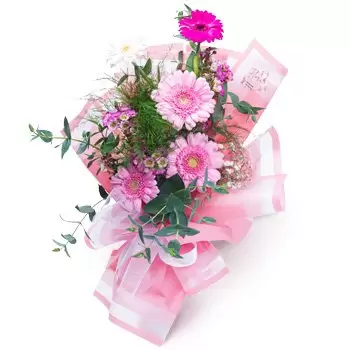 flores de Belgrado- Fores de flor rosa Flor Entrega