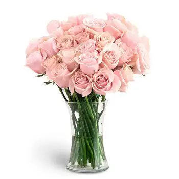 Al Jurainah 2 Blumen Florist- Baby-Wahl Blumen Lieferung