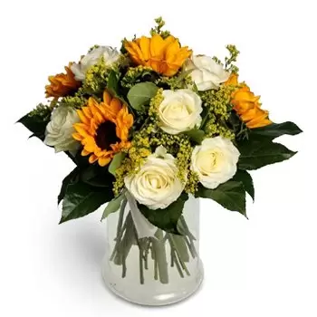 Μπρατισλάβα λουλούδια- Ματσάκι ηλίανθων και λευκών τριαντάφυλλων Λουλούδι Παράδοση