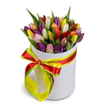 ดอกไม้ บราติสลาวา - มีความสุขอารมณ์ ดอกไม้ จัด ส่ง