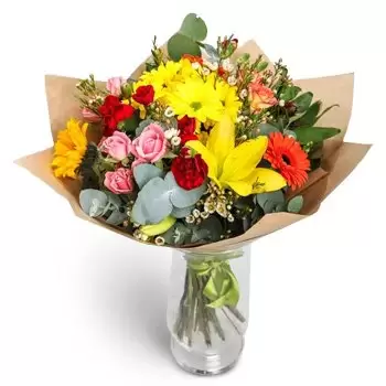 بائع زهور براتيسلافا- تاثير الزهور زهرة التسليم