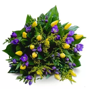 ברטיסלבה פרחים- זר פיונה פרח משלוח