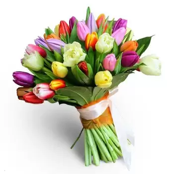 بائع زهور براتيسلافا- زهور فنية زهرة التسليم