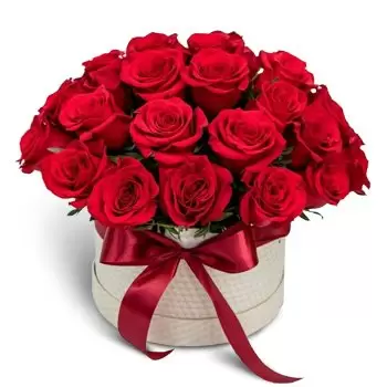 Bratysława kwiaty- Wieczna miłość Kwiat Dostawy