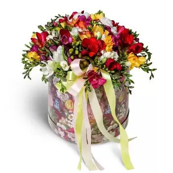 Svatý Jur květiny- Klaunský květinový box Květ Dodávka