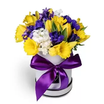 بائع زهور ماريانكا- بهيجة زهرة التسليم