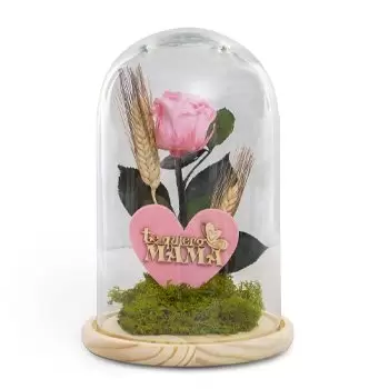 بائع زهور جيرونا- المودة المحفوظة زهرة التسليم