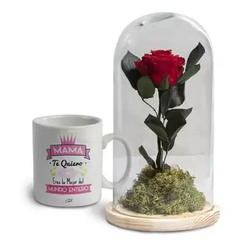 Rebolledo פרחים- אהבה מכל הלב פרח משלוח