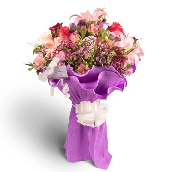 Барио Парада 14 цветя- Пурпурен букет123 Цвете Доставка