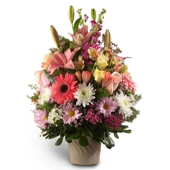 flores Aldea Brasilera floristeria -  base de colores Ramos de  con entrega a domicilio