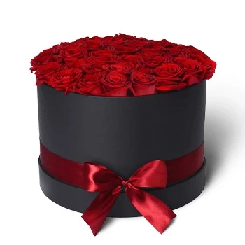 25 de Mayo květiny- BLACK BOX 11229 Květ Dodávka