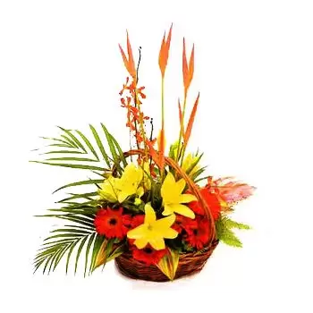 St Lucia flori- Coş tropicale de frumusete Floare Livrare