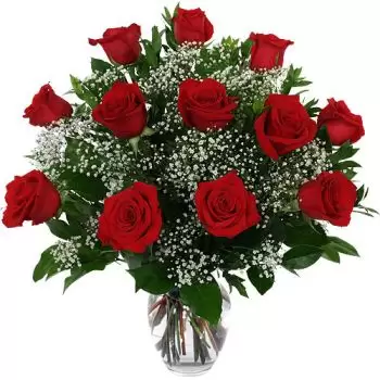 圣卢西亚 花- 猩红色的美丽 花 交付