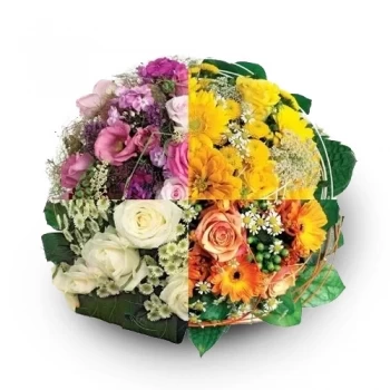 אוטרכט פרחים- Draceane Delight פרח משלוח
