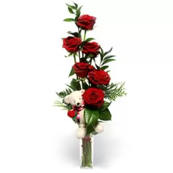 סנט לוסיה פרחים- טדי אהבה פרח משלוח
