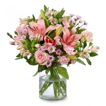 بائع زهور بوكسمير- نازف الوردي زهرة التسليم