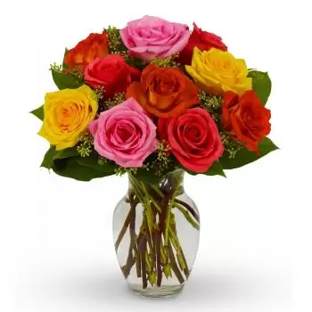 אקומולי פרחים- צבע פרץ פרח משלוח