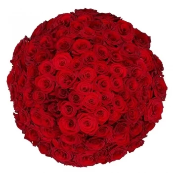 Amsterdam blommor- 100 röda rosor via Floristen Blomma Leverans