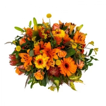 Den Haag bunga- Nuansa Oranye Biedermeier Bunga Pengiriman