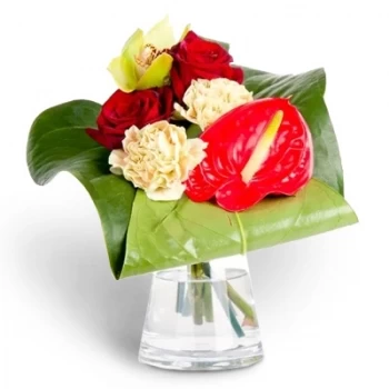 Chaouachi flori- Zâmbet Floare Livrare
