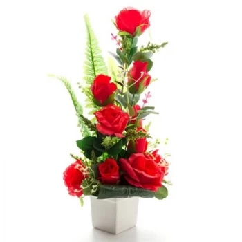 קניטרה פרחים- רומנטיקה פרח משלוח