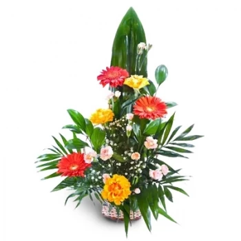 Casablanca flowers  -  Yellow Carnations Flower Delivery