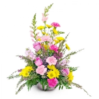 Bargou cvijeća- Lud Cvijet Isporuke