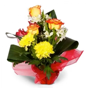 Cite Tayarane Blumen Florist- Sonne Blumen Lieferung