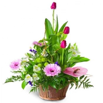Bin Qirdan flori- Sursă Floare Livrare