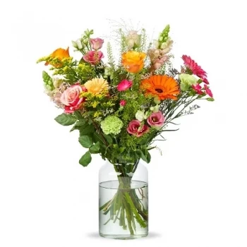 Budel-Schoot-zuid λουλούδια- κέφι Λουλούδι Παράδοση