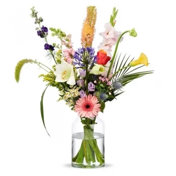 بائع زهور Berkenwoude-oost- احتفال مختلط زهرة التسليم