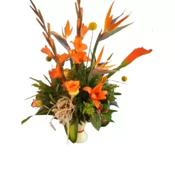 بائع زهور جزيرة جروس- فرحة البرتقالي زهرة التسليم