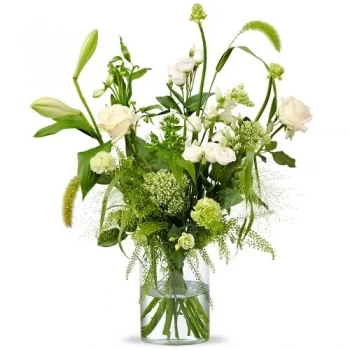 Baflo Blumen Florist- Bezaubernde Schönheit Blumen Lieferung