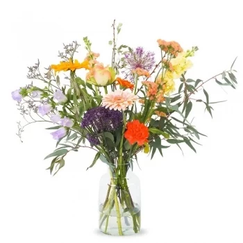 Άλκμααρ λουλούδια- Αγαπημένος Λουλούδι Παράδοση