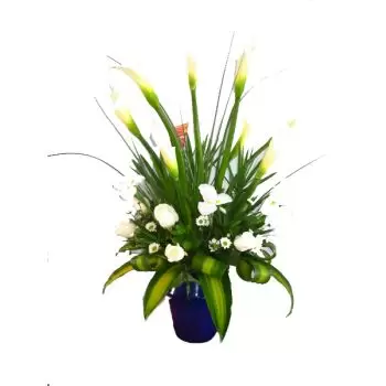 💐 구야브 화이트 글로리 | 1 개의 난초, 5 개의 깡패, 3 개의 Heliconias, 5 개의 Anthuriums | 꽃 배달  구야브 - 구야브 플로리스트