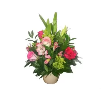 بائع زهور غرينادا- الوردي فرحة زهرة التسليم