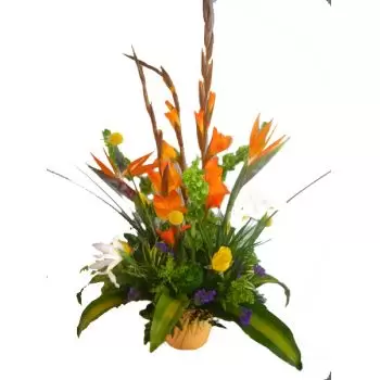 St. Johannes Blumen Florist- Tropische Überraschung Blumen Lieferung
